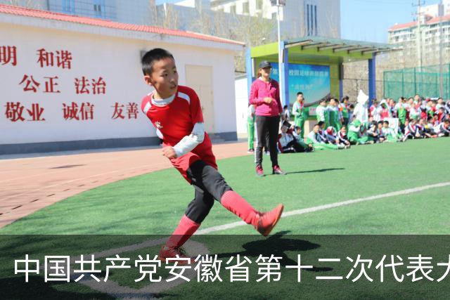 中国共产党安徽省第十二次代表大会胜利闭幕