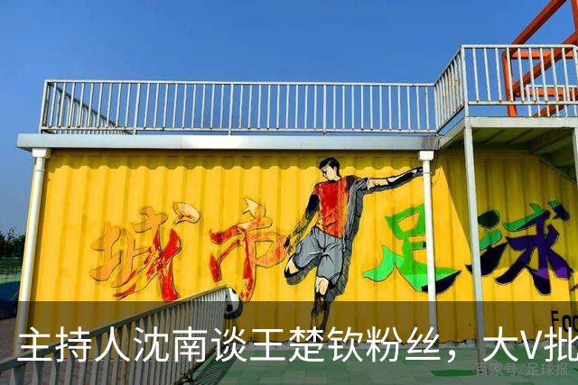 主持人沈南谈王楚钦粉丝，大V批饭圈无知：王皓两杠两星中校军衔