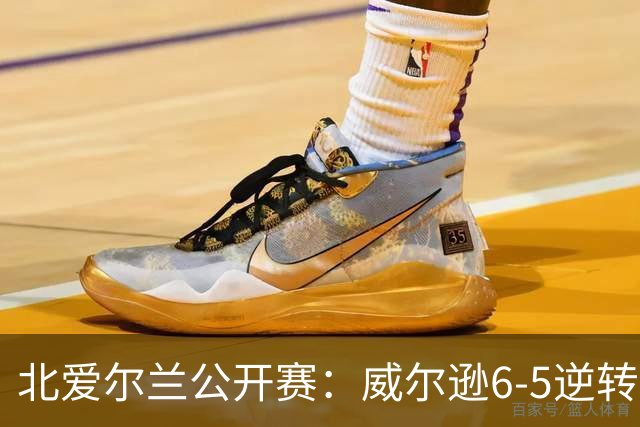 北爱尔兰公开赛：威尔逊6-5逆转绝杀克雷吉，囧哥赛季首进排名赛决赛