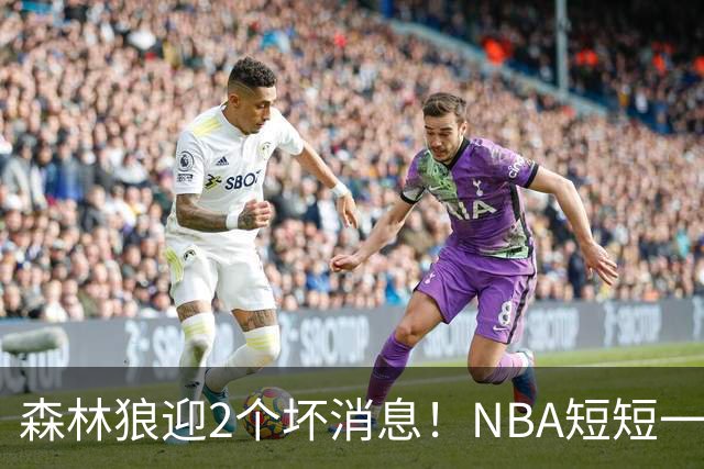 森林狼迎2个坏消息！NBA短短一周10人重伤，雷霆西部最倒霉的球队