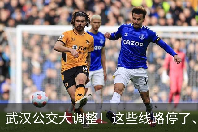 武汉公交大调整！这些线路停了、改了、取消
