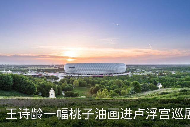 王诗龄一幅桃子油画进卢浮宫巡展，拍出145万高价！第二天被扒出来了，这个展厅只要花钱就能进