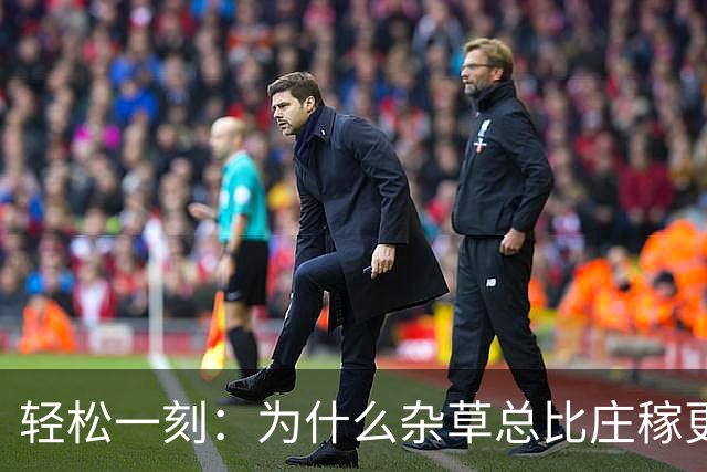 轻松一刻：为什么杂草总比庄稼更顽强？