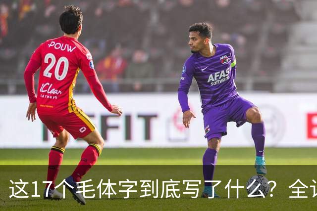这17个毛体字到底写了什么？全认出来才算真懂草书。草书为何要讲究速度，书法不是越慢越好吗？